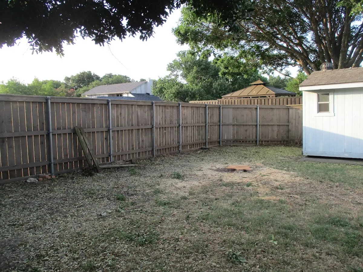 Cleared yard after professional tree removal in Mount Vernon